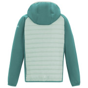 Kinderjacke Regatta Junior Andreson Hybrid IvyMossOMist