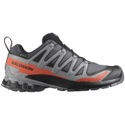 Wanderschuhe Salomon Xa Pro 3D V9 Gore-Tex grau Turbulence / Black / Burnt Ochre