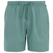 Herrenshorts Regatta Hadlin Shorts hellblau Arctic