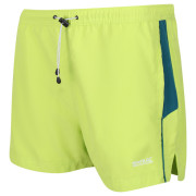 Herrenshorts Regatta Rehere