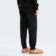 Herren-Jogginghose The North Face M Evolution Simple Dome Regular Jogger
