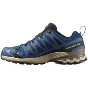 Wanderschuhe Salomon Xa Pro 3D V9 Gore-Tex