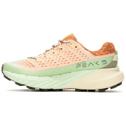 Damen Laufschuhe Merrell Agility Peak 5