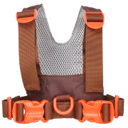 Kleinkind-Geschirr LittleLife Toddler Reins Dinosaur