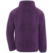 Kinder-Sweatshirt Didriksons Gibbs Kids Fullzip 2 Northen Purple