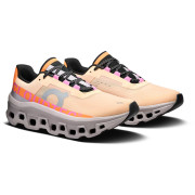 Damen Laufschuhe On Running Cloudmonster