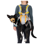 Hundegeschirr Ruffwear BackTrak™ Dog Evacuation Kit grau/orange Cloudburst Gray
