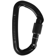 Karabiner Wild Country Session Screw Gate schwarz black