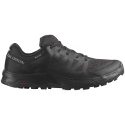 Herrenschuhe Salomon Outrise Gore-Tex