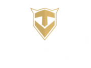 Viking Technology