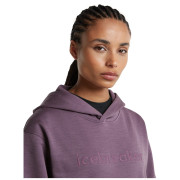 Damen Funktions-Sweatshirt Icebreaker W Mer 360 RealFleece Elemental LS Hood