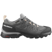 Damen Wanderschuhe Salomon X Ward Leather Gore-Tex