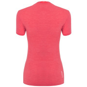 Damen-T-Shirt Salewa Zebru Fresh Amr W T-Shirt.