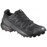 Herrenschuhe Salomon Speedcross 5 GTX