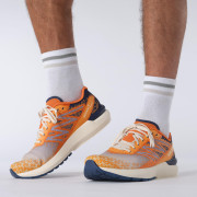 Herren Laufschuhe Salomon Sonic 5 Balance
