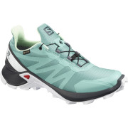 Damenschuhe Salomon Supercross Gtx W hellblau Meadowbrook