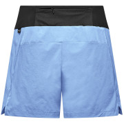 Damenshorts Salewa Pedroc Dst Light Short W