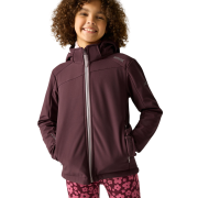Kinder-Softshell-Jacke Regatta Haydenbury Fig