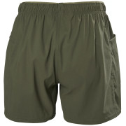 Damenshorts Helly Hansen W Vista Hike Shorts