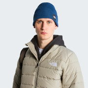 Mütze The North Face Dock Worker Recycled Beanie