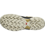 Wanderschuhe Salomon X Ultra 360 GTX