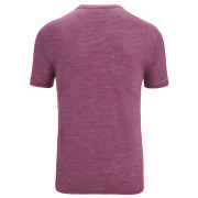 Herren-Funktionsshirt Icebreaker Sphere II SS Tee Trail