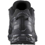 Wanderschuhe Salomon Xa Pro 3D V9 Gore-Tex