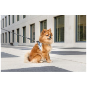 Hundegeschirr Curli Glow Reflective