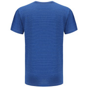 Herren-T-Shirt Alpine Pro Adarn