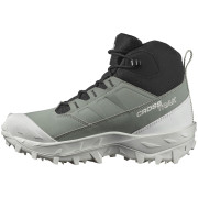 Damenschuhe Salomon Crosstrak Waterproof