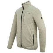 Herren-Sweatshirt Regatta Hillden Midlayer