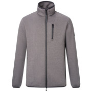Herren Funktions-Sweatshirt Regatta Brayleigh grau/schwarz Ash/Black