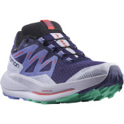 Damen Laufschuhe Salomon Pulsar Trail Gtx W