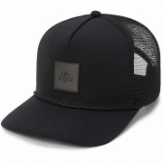 Baseballmütze Dakine Coastline Trucker schwarz/grau black