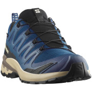 Wanderschuhe Salomon Xa Pro 3D V9 Gore-Tex