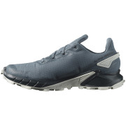 Herren Laufschuhe Salomon Alphacross 4 Gore-Tex