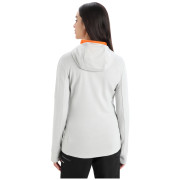 Damen Funktions-Sweatshirt Icebreaker Quantum III LS Zip Hoodie
