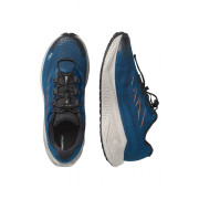 Herrenschuhe Salomon Aero Blaze 4 Grvl