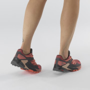 Damenschuhe Salomon Wings Sky Gore-Tex