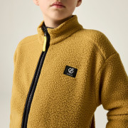 Kinder-Sweatshirt Dare 2b Zesty II Fleece Wood Brown