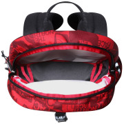 Kinderrucksack The North Face Youth Mini Recon