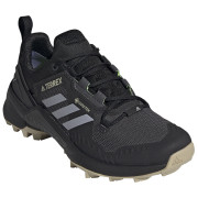 Damenschuhe Adidas Terrex Swift R3 Gtx 2023