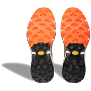 Herren Laufschuhe Dynafit Ultra 100 V3