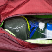 Tasche Osprey Ozone 36 Convertible (2017)