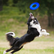Hundespielzeug Nerf Dog Translucent TPR Tire Flyer 25 cm