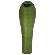Daunenschlafsack Marmot Never Winter grün Cilantro/TreeGreen