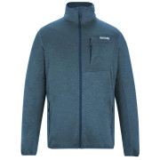 Herren-Sweatshirt Regatta Hillden Midlayer blau China blue