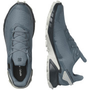 Herren Laufschuhe Salomon Alphacross 4 Gore-Tex