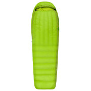 Daunenschlafsack Sea to Summit Ascent AcI - Regular