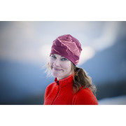 Damen Funktions-Sweatshirt Direct Alpine Aura